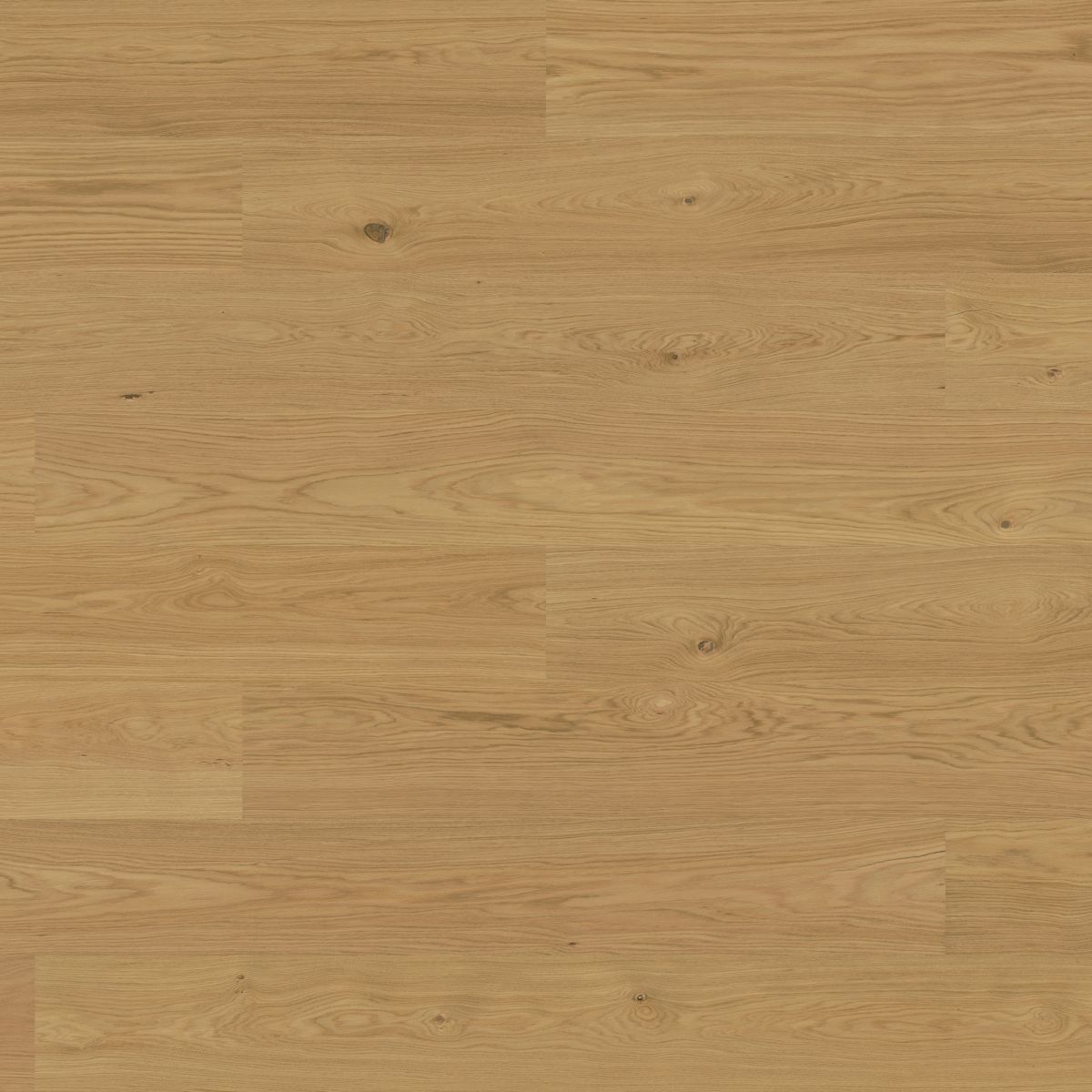 Product picture of Woodura Planks VIKEN 3.0 XXL