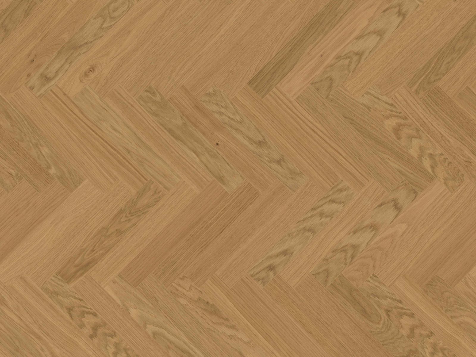 74ac06405a5b304e44e10c35a47126